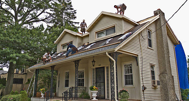 Best Roof Gutter Cleaning  in Orida Ridge, FL